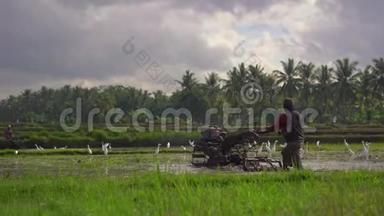 农民种植水稻前耕种田地.. 田野里满是泥水。 美丽的乡村景色。 旅费